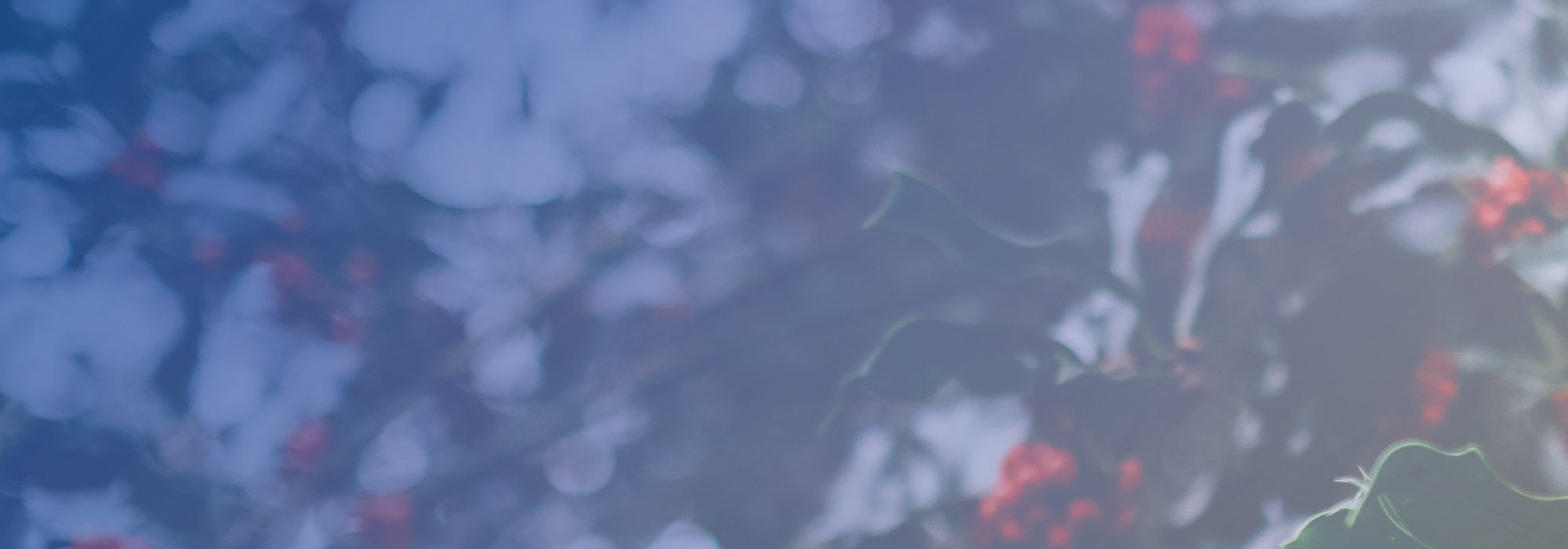 Slide background